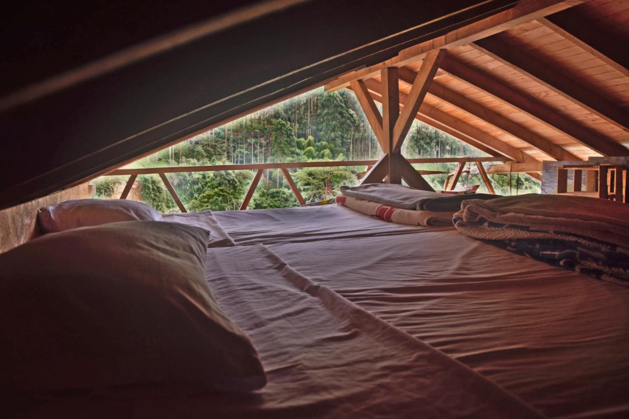 Creo Ecolodge คาร์ดิน ภายนอก รูปภาพ