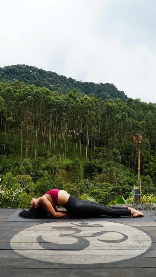 Creo Ecolodge คาร์ดิน ภายนอก รูปภาพ