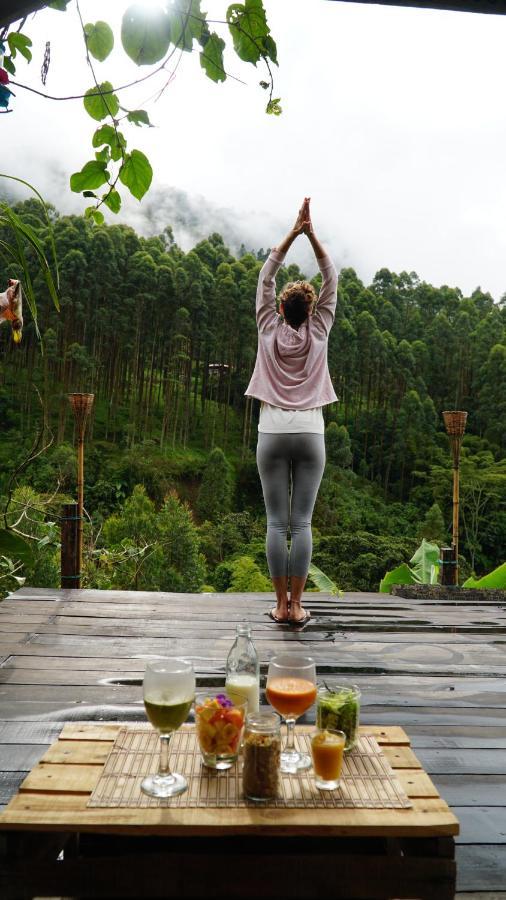 Creo Ecolodge คาร์ดิน ภายนอก รูปภาพ