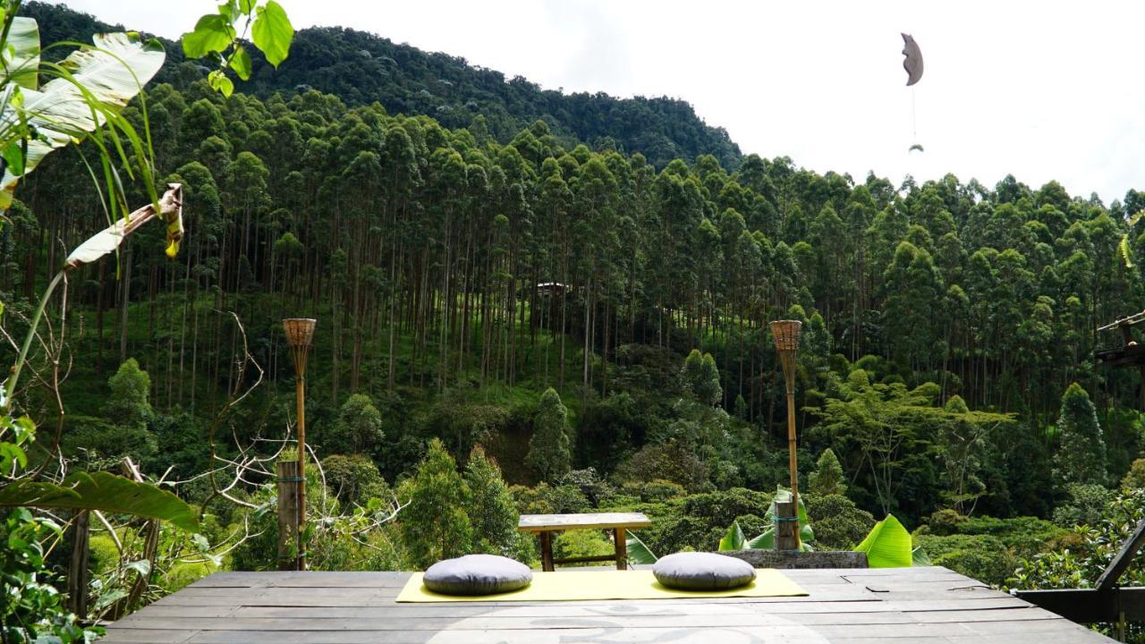 Creo Ecolodge คาร์ดิน ภายนอก รูปภาพ