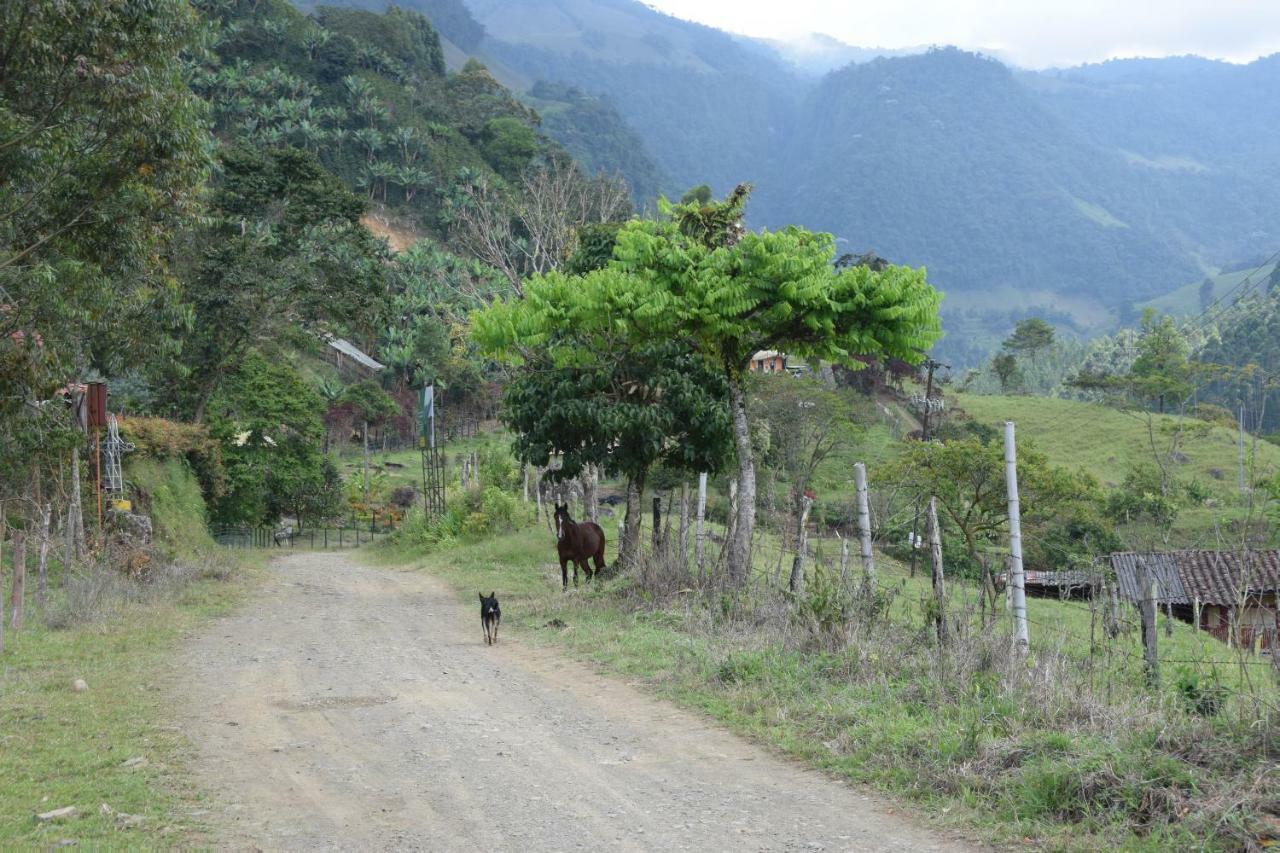 Creo Ecolodge คาร์ดิน ภายนอก รูปภาพ